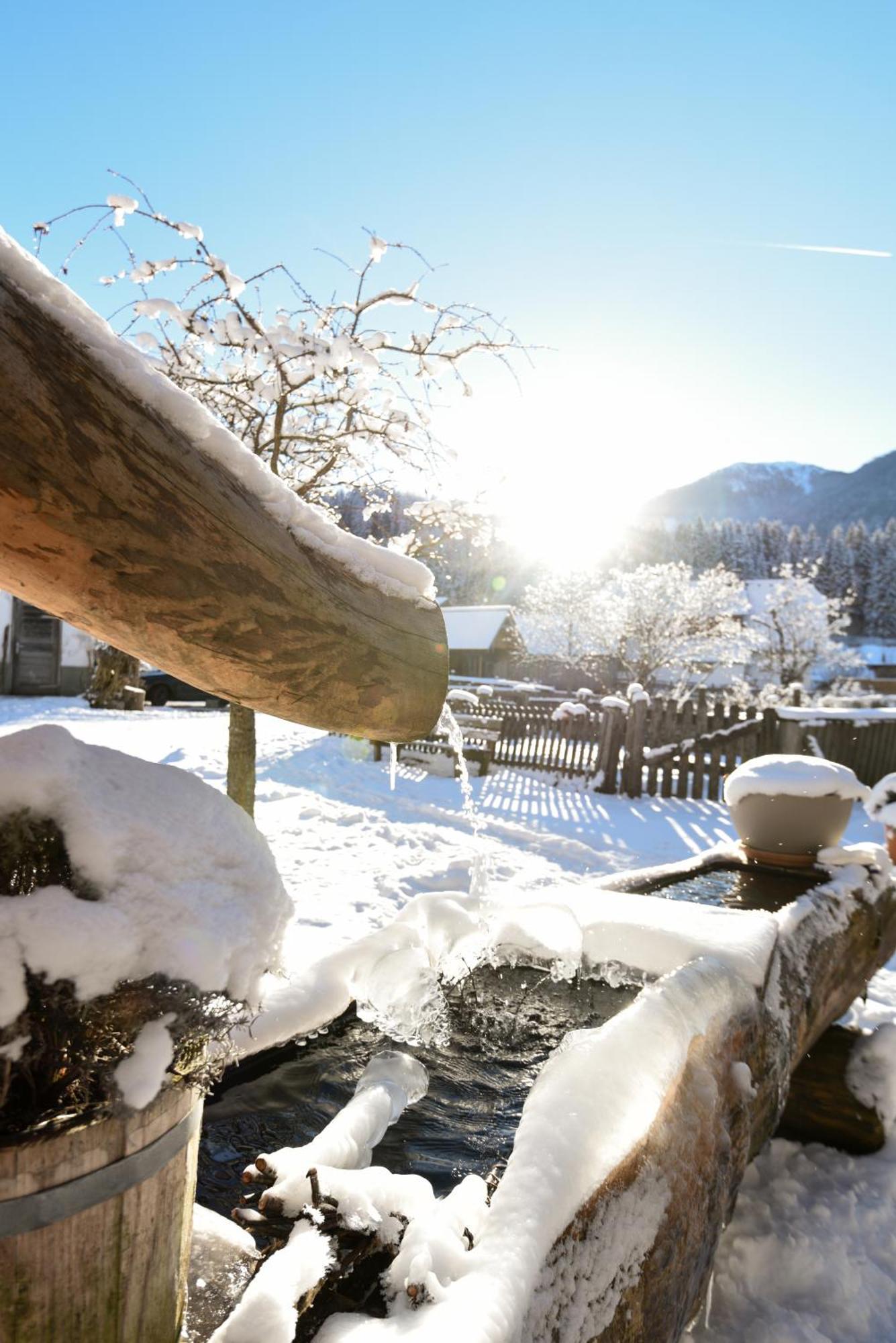 Auerhof Vila Schladming Exterior foto