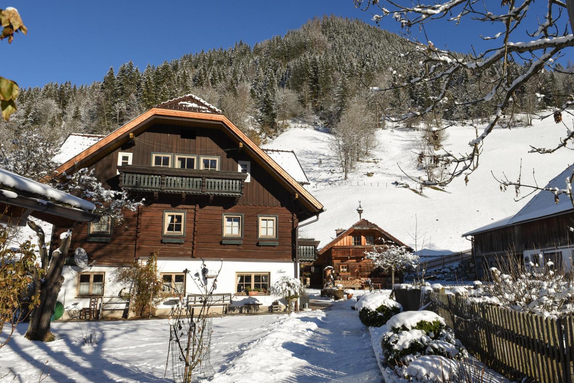 Auerhof Vila Schladming Exterior foto