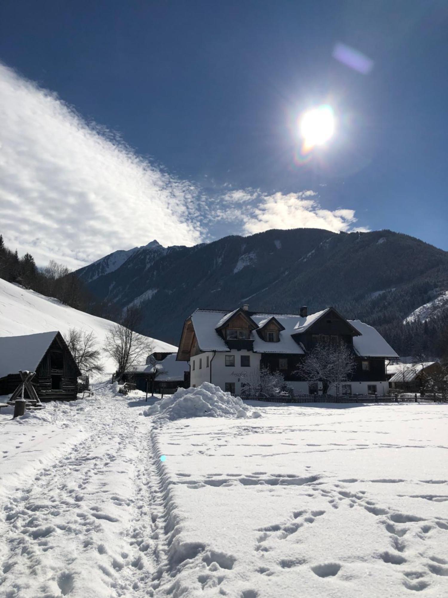 Auerhof Vila Schladming Exterior foto