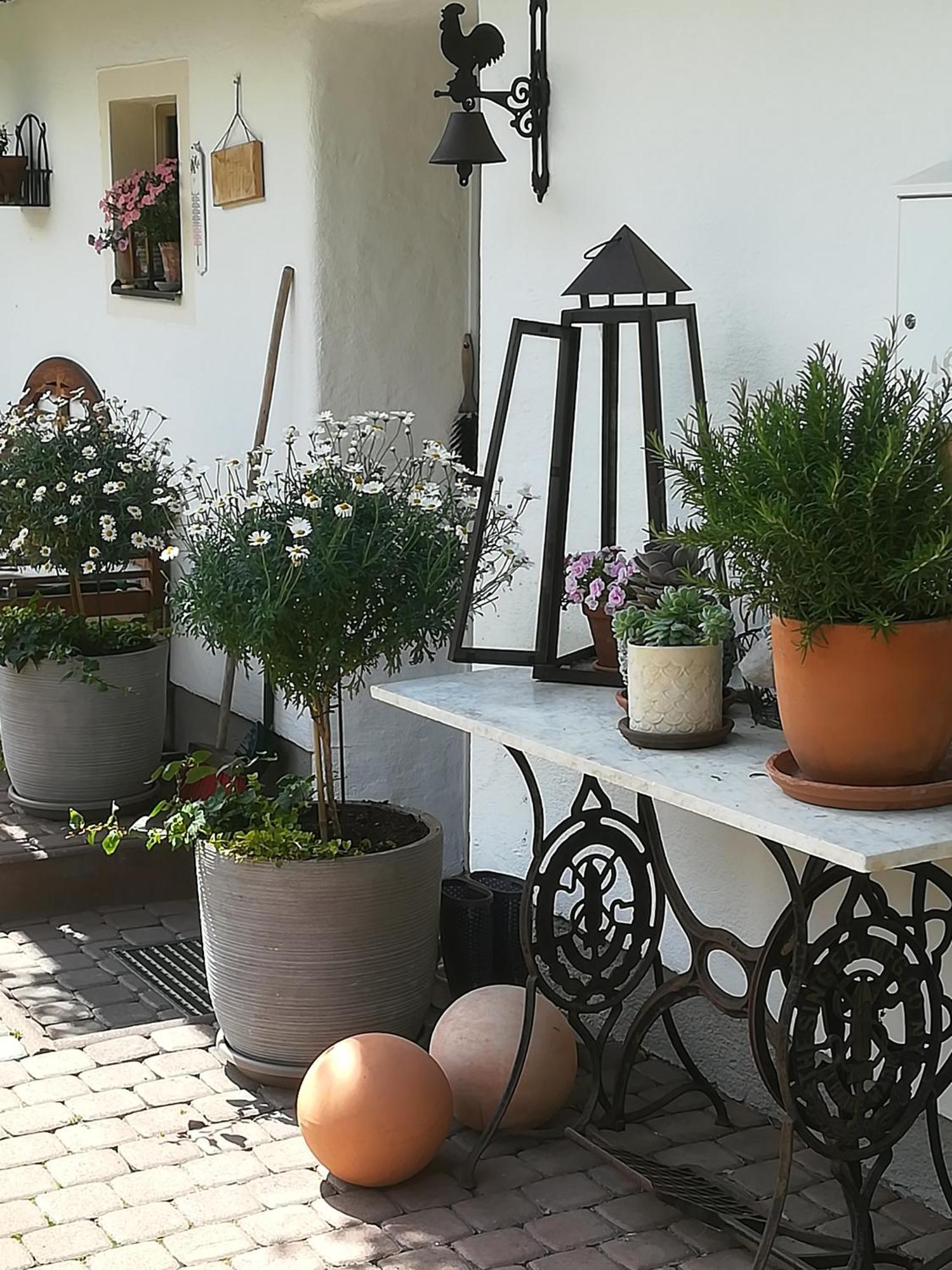Auerhof Vila Schladming Exterior foto
