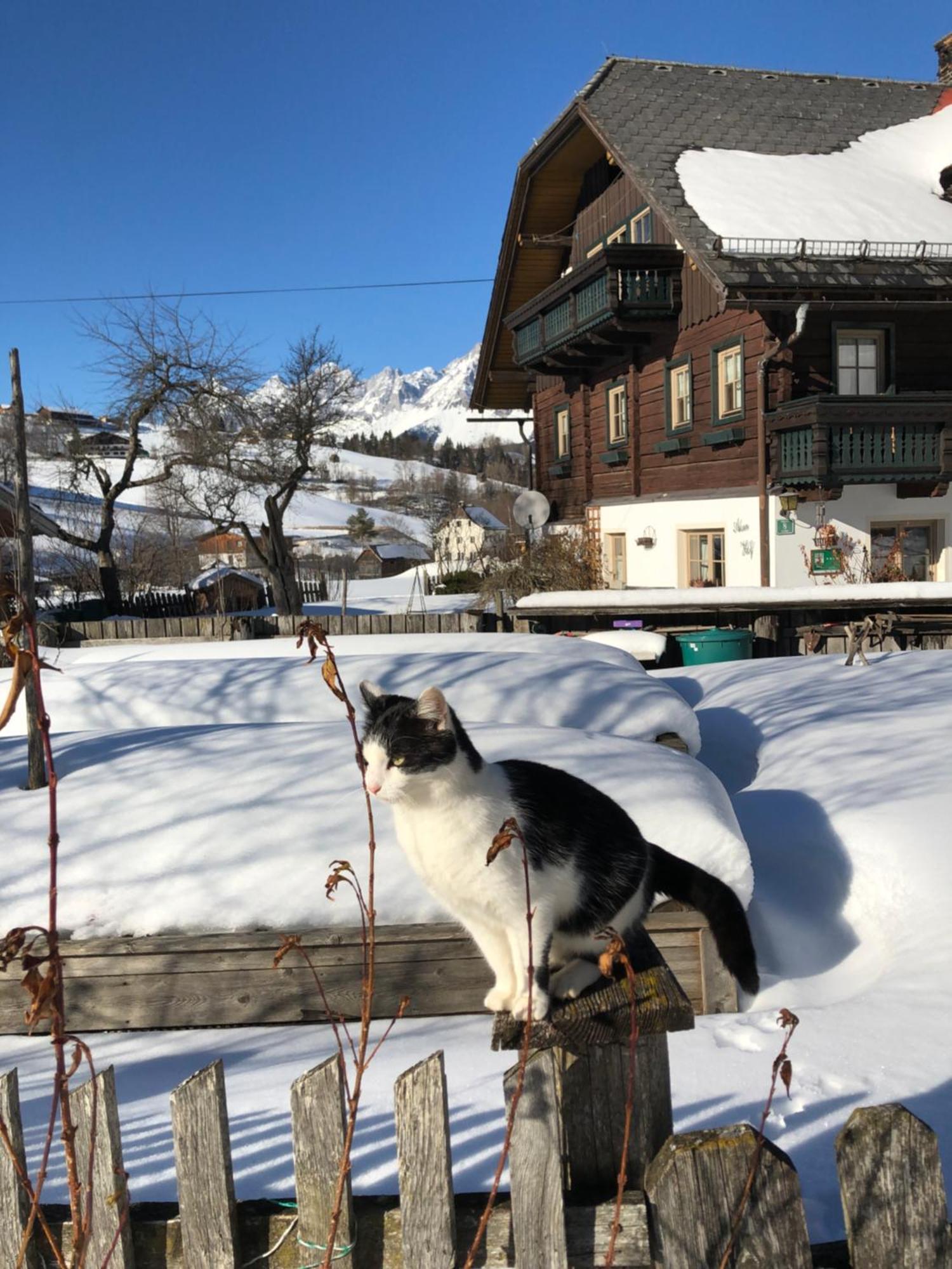Auerhof Vila Schladming Exterior foto