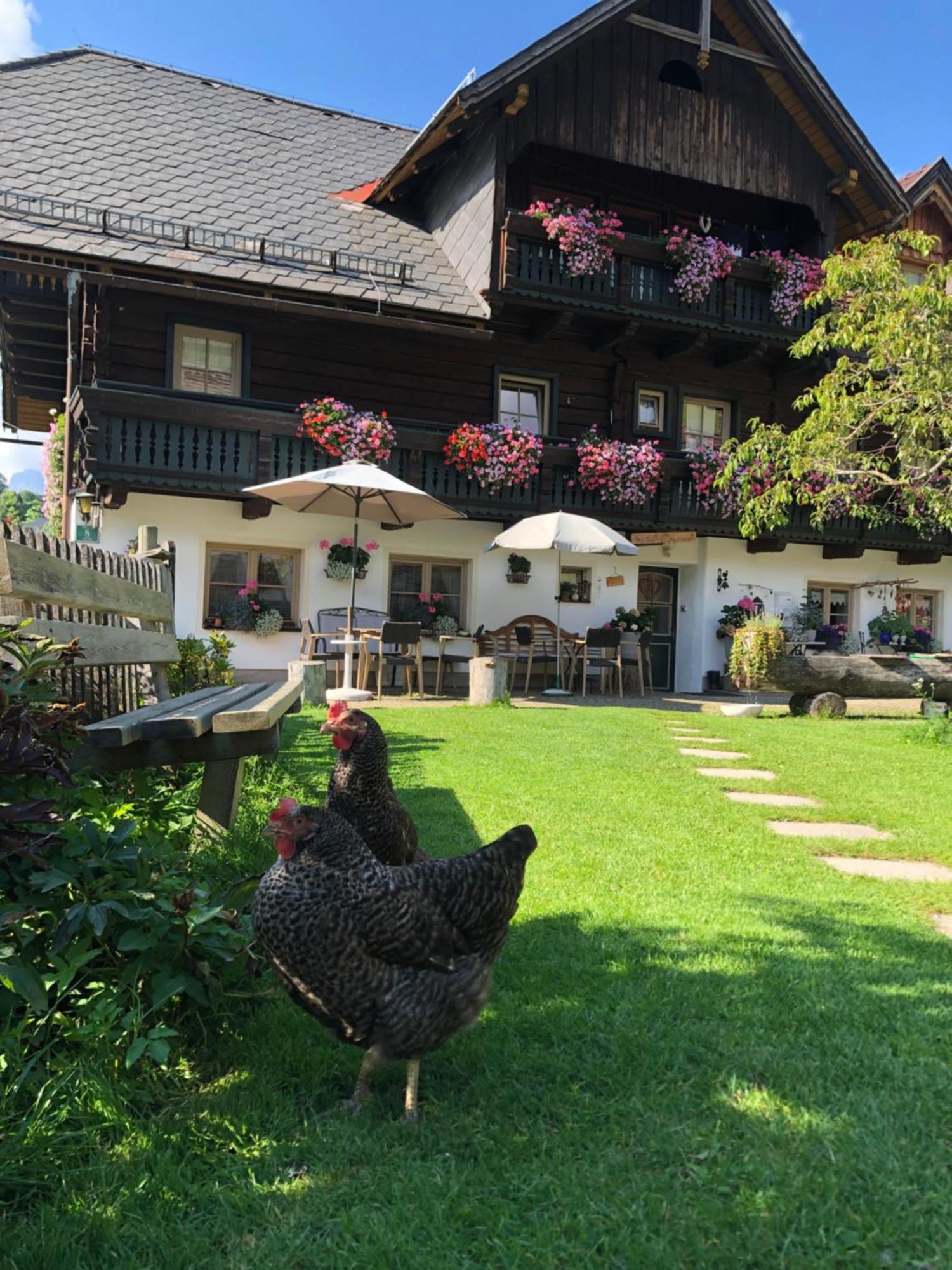 Auerhof Vila Schladming Exterior foto